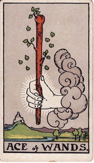 Ace of Wands tarot card (Rider-Waite)